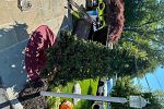 Sale Photo Thumbnail #17