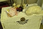 Sale Photo Thumbnail #5