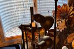 Sale Photo Thumbnail #31
