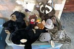 Sale Photo Thumbnail #11