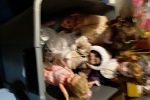 Sale Photo Thumbnail #4