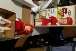 Sale Photo Thumbnail #13