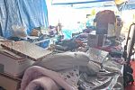 Sale Photo Thumbnail #4