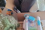 Sale Photo Thumbnail #1