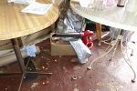 Sale Photo Thumbnail #171