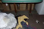 Sale Photo Thumbnail #126