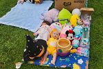 Sale Photo Thumbnail #10