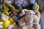 Sale Photo Thumbnail #22