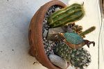 Sale Photo Thumbnail #28