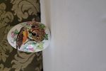 Sale Photo Thumbnail #22