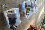 Sale Photo Thumbnail #34
