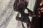 Sale Photo Thumbnail #3