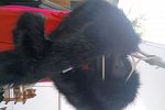 Sale Photo Thumbnail #8