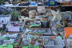 Sale Photo Thumbnail #28