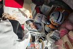Sale Photo Thumbnail #11