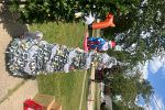 Sale Photo Thumbnail #45