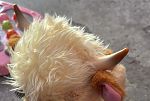 Sale Photo Thumbnail #12