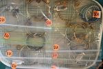 Sale Photo Thumbnail #12