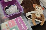 Sale Photo Thumbnail #19