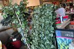 Sale Photo Thumbnail #21