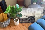 Sale Photo Thumbnail #6