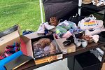 Sale Photo Thumbnail #7