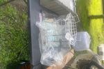 Sale Photo Thumbnail #12