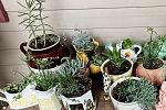 Sale Photo Thumbnail #3