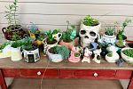 Sale Photo Thumbnail #1