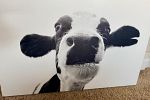 Sale Photo Thumbnail #50