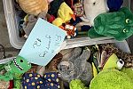 Sale Photo Thumbnail #3