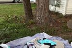Sale Photo Thumbnail #20