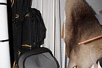 Sale Photo Thumbnail #149