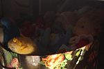 Sale Photo Thumbnail #108