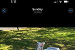 Sale Photo Thumbnail #35