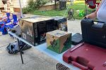 Sale Photo Thumbnail #30