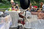 Sale Photo Thumbnail #41
