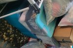 Sale Photo Thumbnail #14