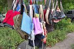Sale Photo Thumbnail #31