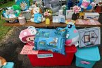 Sale Photo Thumbnail #10