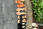 Sale Photo Thumbnail #9