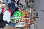 Sale Photo Thumbnail #15