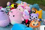 Sale Photo Thumbnail #4