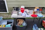 Sale Photo Thumbnail #1