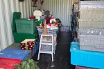 Sale Photo Thumbnail #14