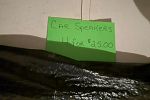 Sale Photo Thumbnail #29
