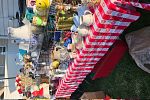 Sale Photo Thumbnail #7