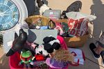 Sale Photo Thumbnail #7