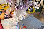 Sale Photo Thumbnail #7