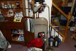 Sale Photo Thumbnail #132